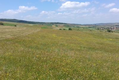 Vand teren intre Popesti si Corusu(jud. Cluj),in apropierea padurii - 2
