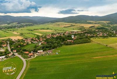 FILM 3D! Doua case cu:piscina,foisor,arbori decorativi,1.700mp teren,Lutoasa,Covasna - 16