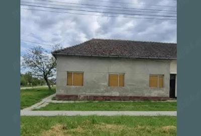 Casă cu 4 camere cu Teren 340 Mp în Tormac - 4