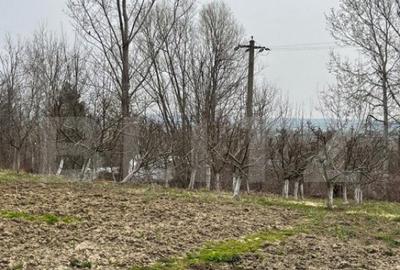 Casă cu 4 camere cu Teren 4600 Mp în Central