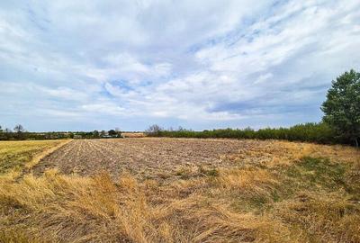 Teren intravilan Suseni Arges - 10