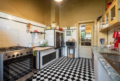 O vila cu prestanta, in Cismigiu - 1