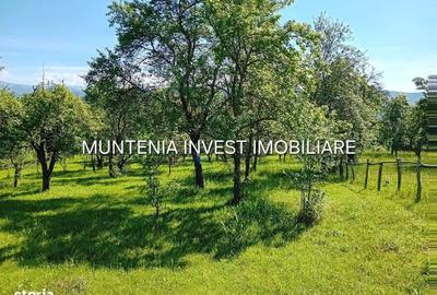 Spațiu comercial, în Brădetu - 11