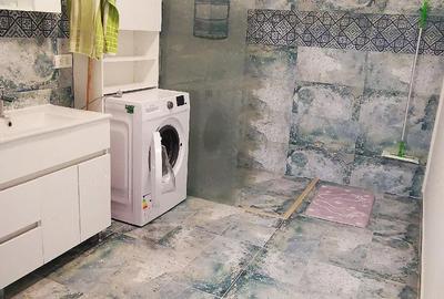 Apartament cu 2 camere semidecomandat în Bălcescu - 5