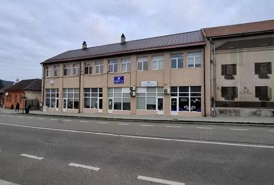 Ofer spre inchiriere spatiu comercial in Baia Sprie - 5