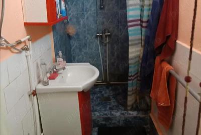 Casă cu 4 camere cu Teren 1959 Mp în Voivozi (Popești) - 7