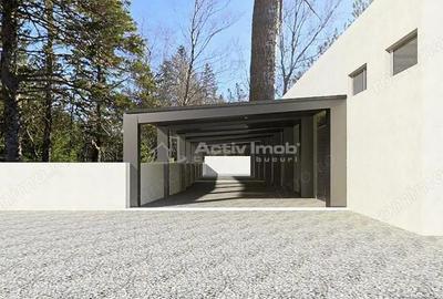 Hala 700 mp - teren 3998 mp - Nufarul - 1