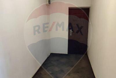 Spa?iu comercial Traiav Vuia - 150mp - 14