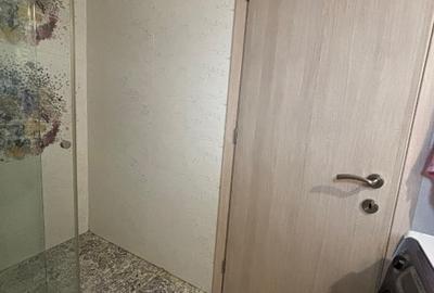 Apartament 4 camere - intrare parcul Carol - 15