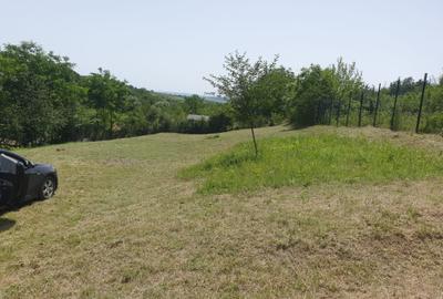Teren agricol intravilan de 1189 mp, în Copou - 2