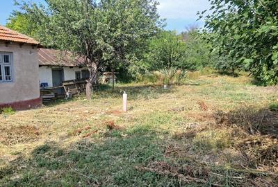 Casă cu 3 camere cu Teren 790 Mp în Stăncești - 6