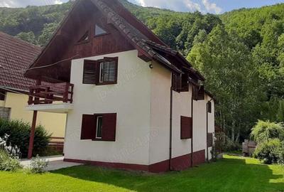 Cazare Retezat Raul Mare - 1