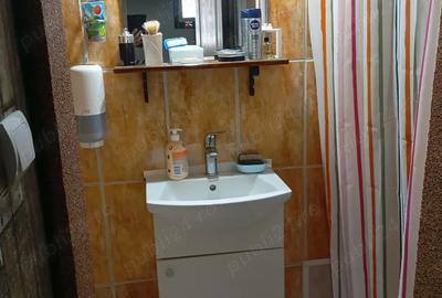 Vand locuin?a la curte comuna zona Me?ianu Arad. - 9