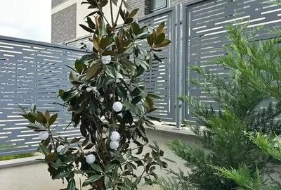 Apartament unic -Malul lacului Straulesti -Curte proprie 40 mp - 3