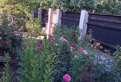 Casa cu teren de vanzare in Jilavele Ialomi?a - 9