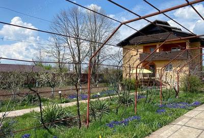 Casă cu 9 camere cu Teren 1500 Mp în Ceacu - 10