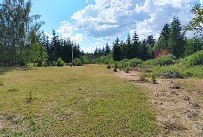 Teren de 2004 mp, în Izvoru Mureșului - 1