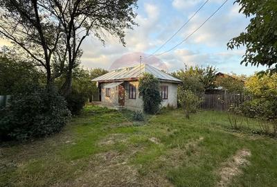 Casa / Vila Batinesti-Patrascani - 1