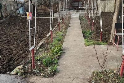 Teren de 421 mp, în Agigea