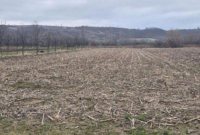 Casă cu 2 camere cu Teren 4000 Mp în Tăut - 6