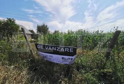 Teren de 2400 mp, în Jelna - 1