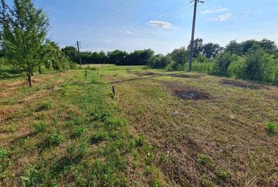 Casa si teren (79 km Bucuresti - 32 km Ploiesti - 17 km Targoviste) - 6