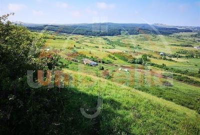 Teren de vanzare in Cluj-Napoca, Strada Soporului 5.753 mp - 2