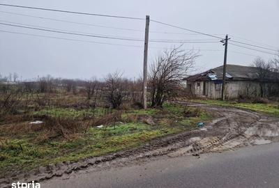 Teren de 13000 mp, în Frăsinet - 1
