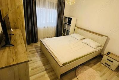 Apartament cu 2 camere semidecomandat în Craiovița Nouă - 4