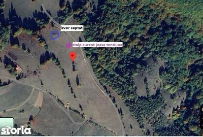 Teren de 20340 mp, în Crizbav - 5