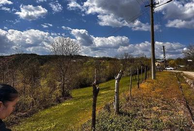 Teren de 2350 mp, în Surani - 7