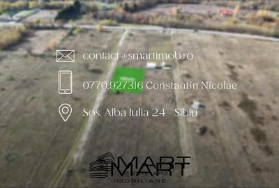 Teren 500 mp Valea Avrigului - 3