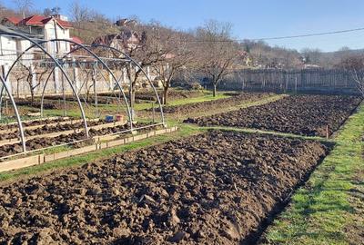 Teren de 650 mp, în Exterior Vest - 3