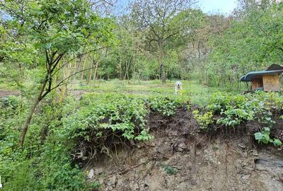 Casă cu 3 camere cu Teren 1212 Mp în Central - 9