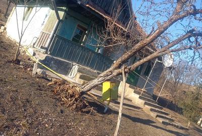 Casă cu 2 camere în Ceanu Mare - 4