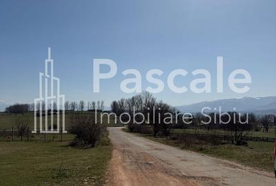 Spațiu comercial, în Daia