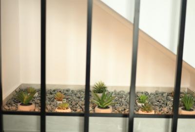 Casă individuală cu 4 camere cu Canalizare în Domnești - 4