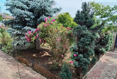 Casă cu 3 camere cu Teren 693 Mp în Lazuri - 17