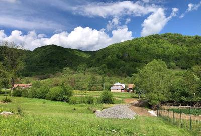 Teren de 1200 mp, în Deda