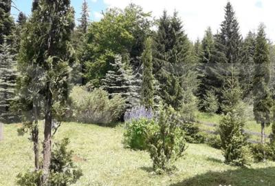 Casă cu 3 camere cu Teren 400 Mp în Central - 15