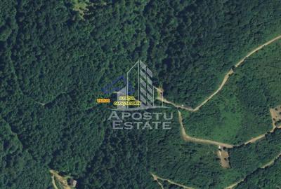 Teren intravilan, 1000 și 1050mp front stradal generos, Valiug - 2