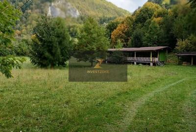 Teren de 3900 mp, în Bratca - 10