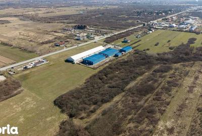 Teren de 7194 mp, în Carașova - 7