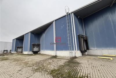 Depozit/hala/spatiu industrial Chiajna - Ciorogarla A1 - KM - 6