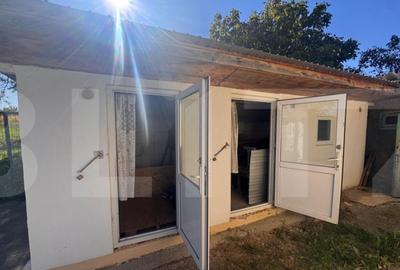 Casa batraneasca locuibila cu teren generos Ghilane - 12