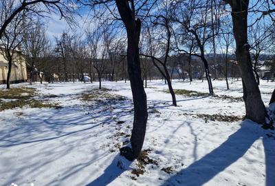 Teren de 2942 mp, în Valea Mare - 9