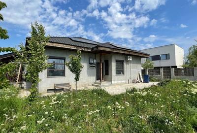 Cernica, Pantelimon, langa padurea Cernica - 12