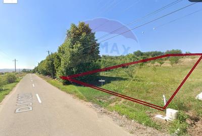 Teren Construcții intravilan de 2635 mp, în Rediu - 1