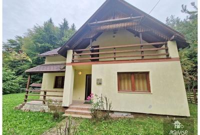 Casa de vacanta, Valea Bozom-Apata Casa de vacanta, Valea Bozom-Apata - 19