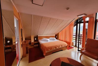 Hotel/Pensiune, de 400 mp, în Calea București - 4